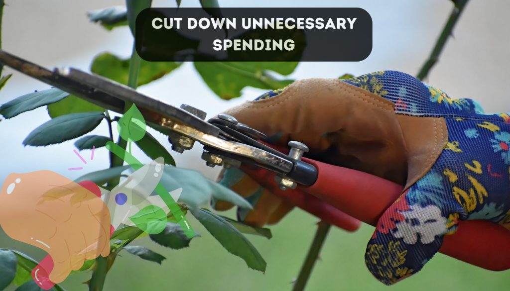 cut down unnecessary spending
